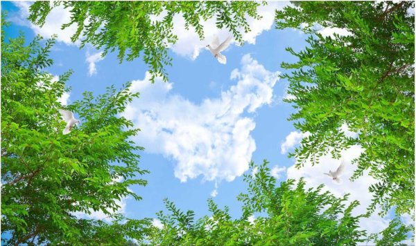 Натяжной потолок облака с деревьями