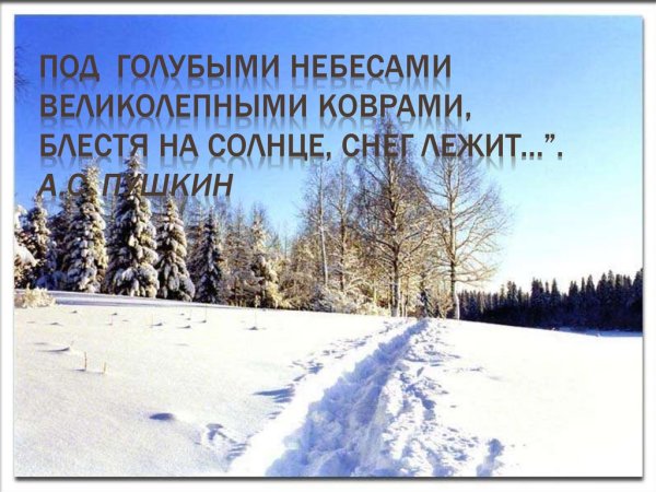 Великолепными коврами блестя на солнце снег лежит