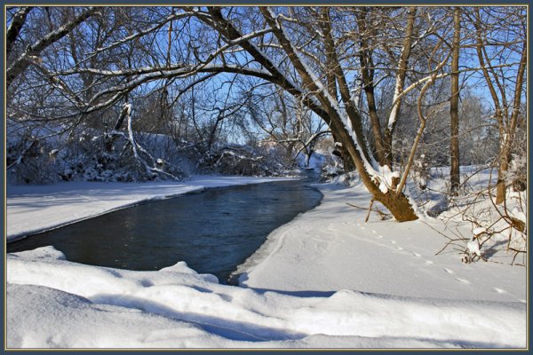 Александр Сергеевич Пушкин зимний лес