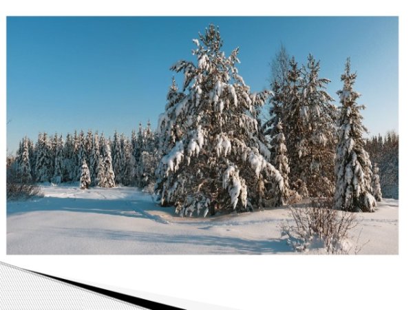 Речка подо льдом блестит