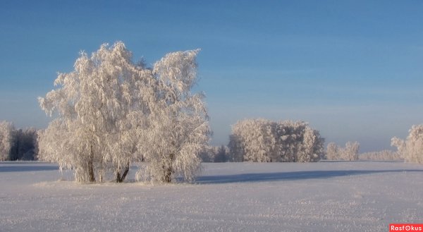Зимние стихи Александра Сергеевича Пушкина