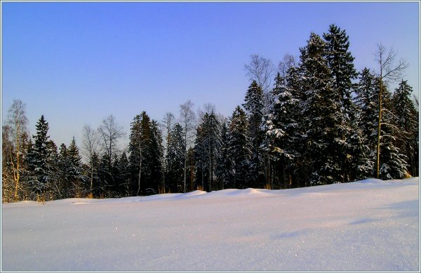 Стихи Александра Сергеевича Пушкина про зиму
