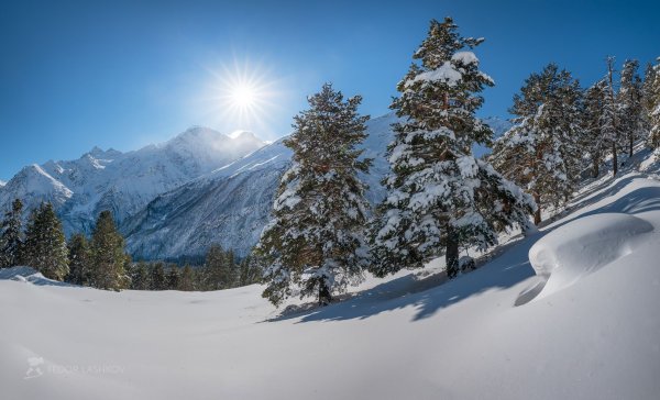 Блестя на солнце снег лежит прозрачный лес один