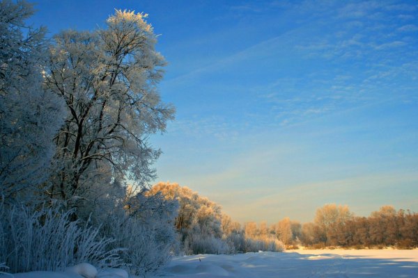 Арнольд Аланиз художник