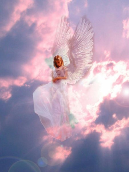 Укрывает крылом