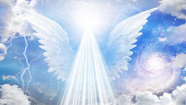 Девушка белая птица