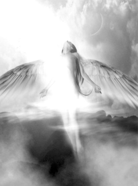 На крыльях любви