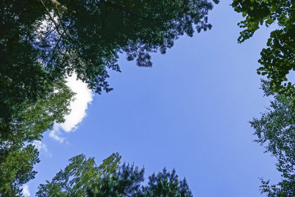 Красивое разбитое окно