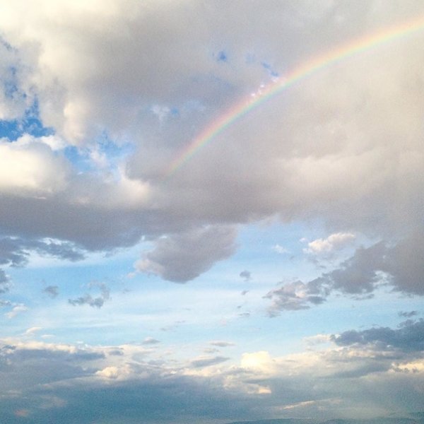 Птицы в облаках