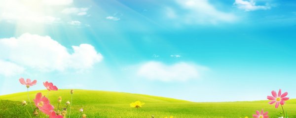 Поляна с цветами для детей