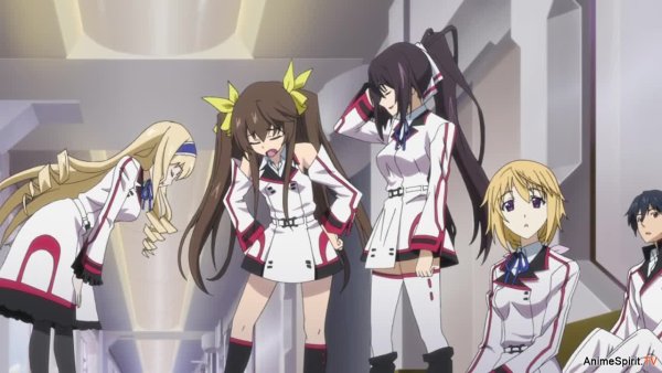Infinite Stratos гарем