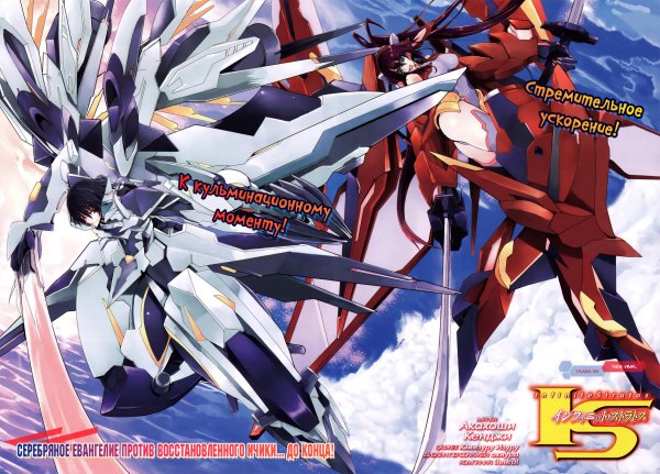 Infinite Stratos Tatenashi