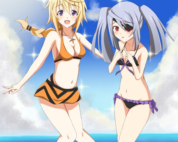 Infinite Stratos Лаура Бодевиг