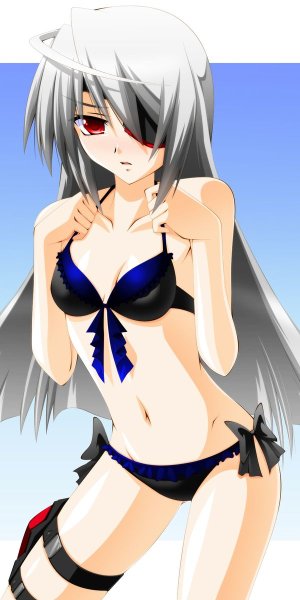 Infinite Stratos 2