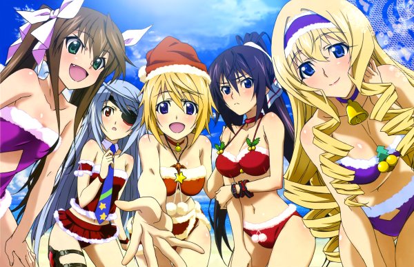 Infinite Stratos Чарльз