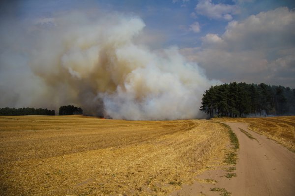 Дым в степи