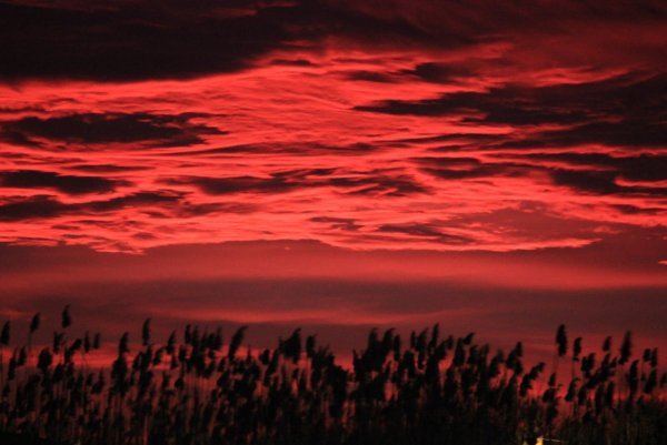 Багрово красное небо