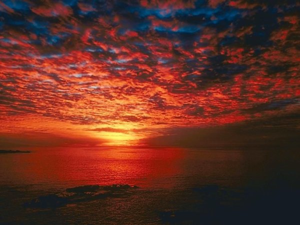 Кровавый рассвет