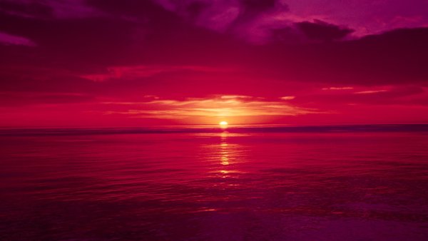 Багряный цвет