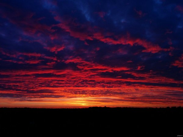 Алый рассвет