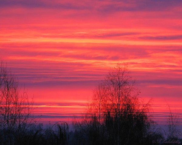 Кроваво красный закат