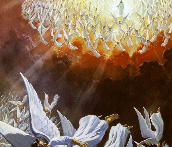 Обои на рабочий стол архив Буресвета