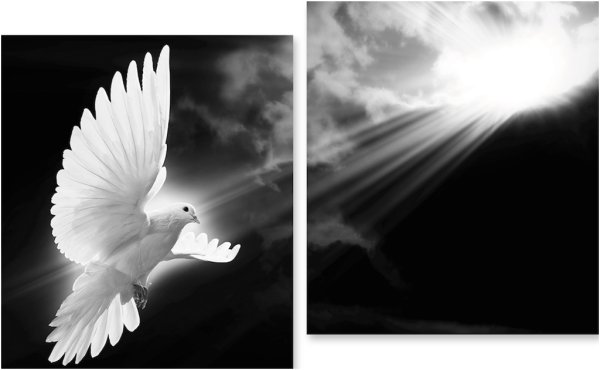 Голуби на памятнике гравировка