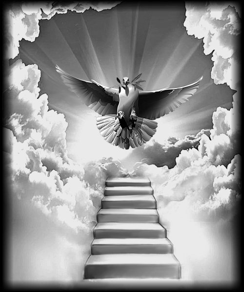 Голуби в небе на памятник