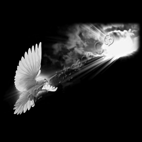 Голубь гравировка