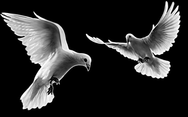 Голуби на памятник