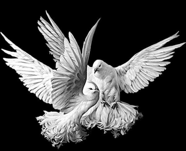 Голуби на памятник