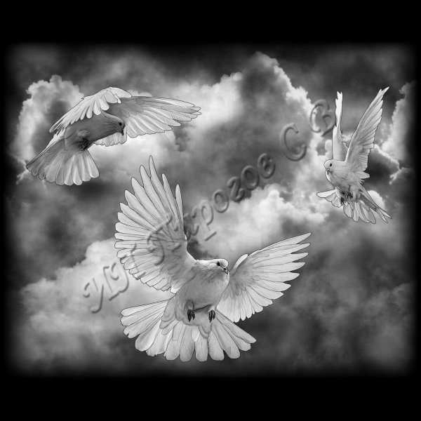 Голуби на памятнике гравировка