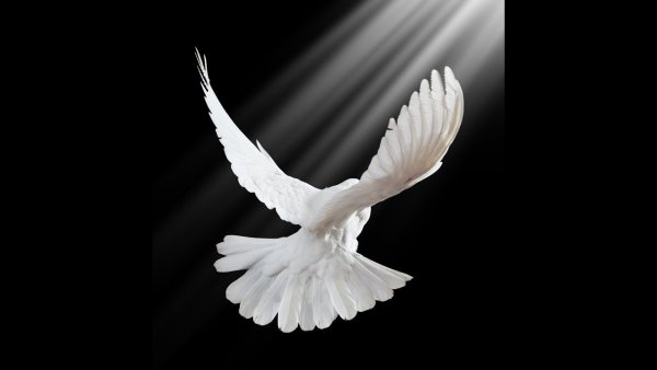 Изображения для гравировки