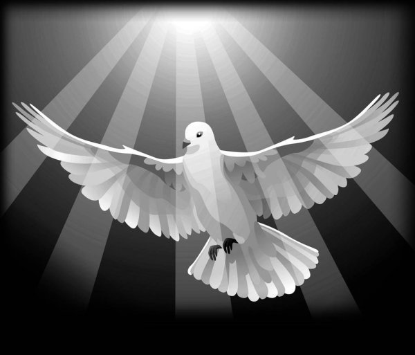 Два голубя на памятник