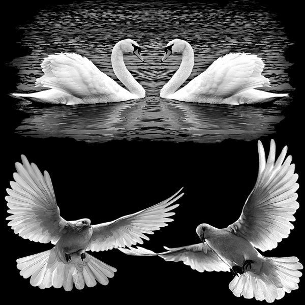 Лучи солнца