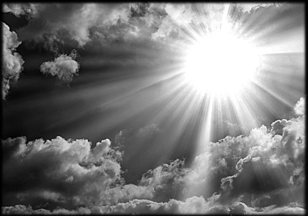 Голуби на памятник