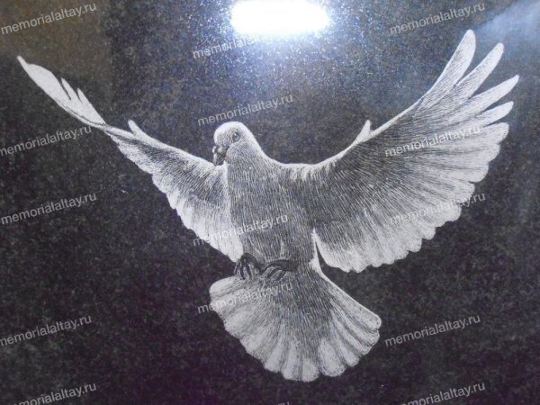 Голуби на памятнике гравировка
