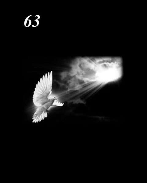 Голуби на памятник