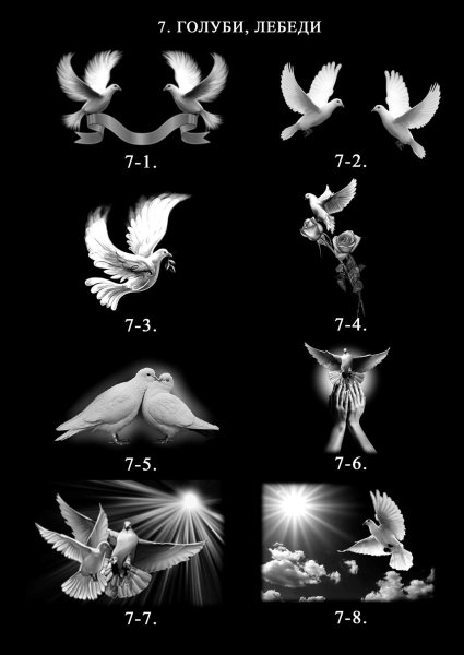 Голуби на памятнике гравировка