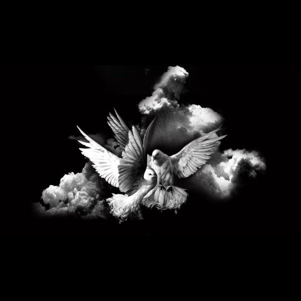 Голуби на памятник