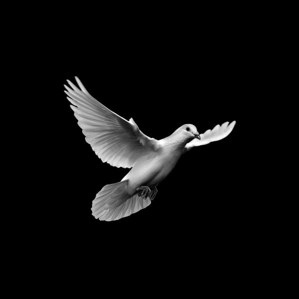 Облака на памятник