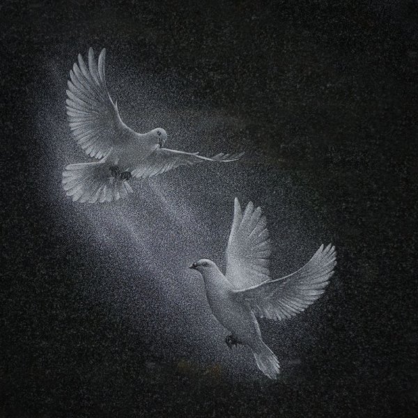 Голубь гравировка