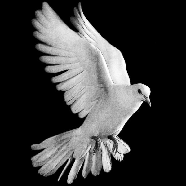 Пейзаж на памятник с птичками