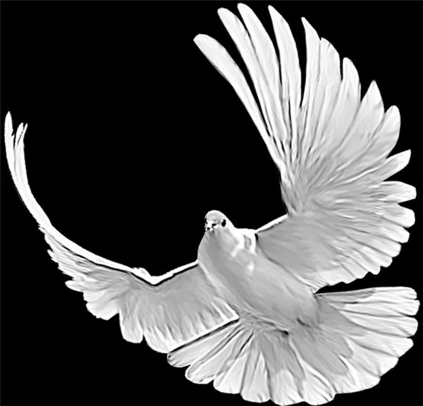 Руки с голубем для гравировки