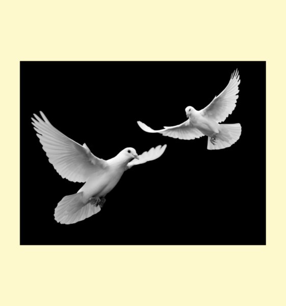 Голуби на обратной стороне памятника