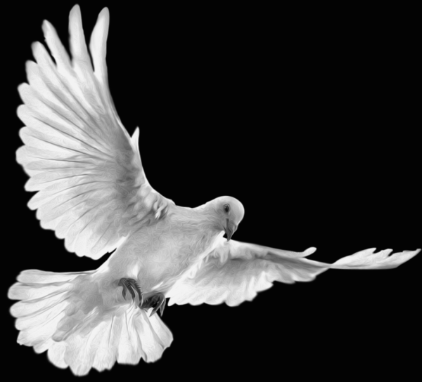 Изображения на обратной стороне памятника