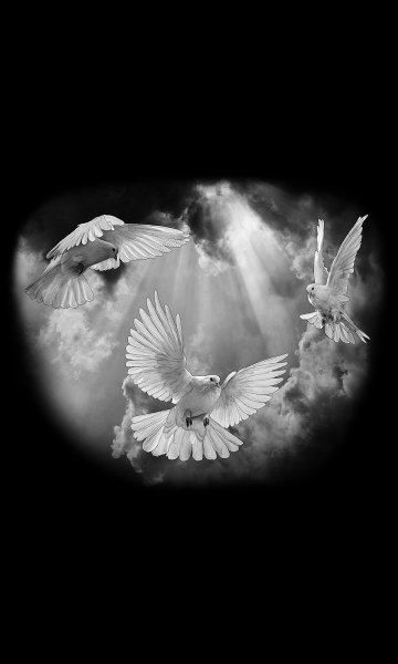 Голуби на памятнике гравировка