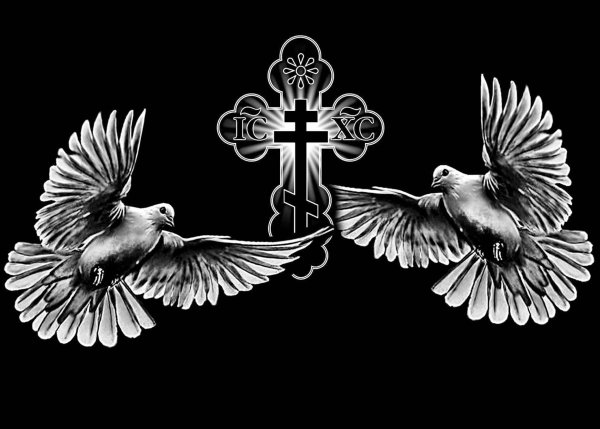 Голуби на памятник