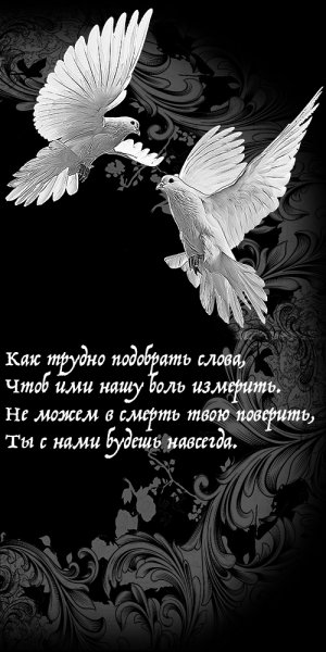 Голуби на памятнике гравировка