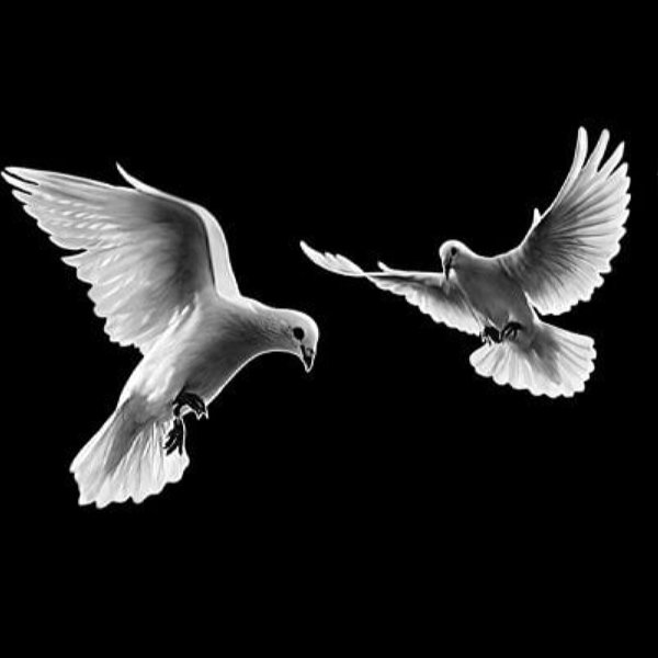 Голуби на памятнике гравировка